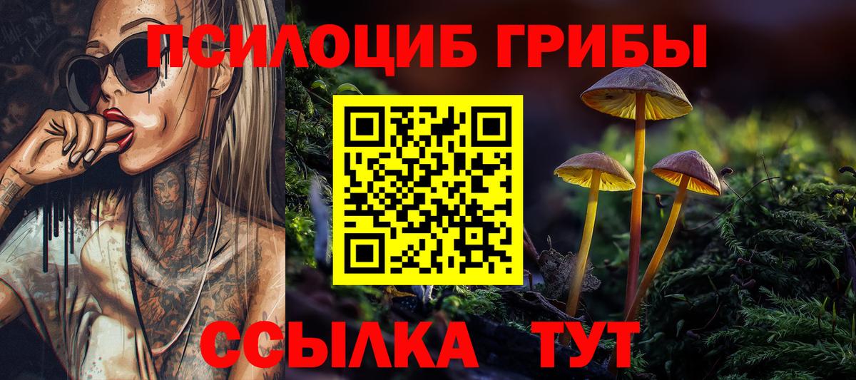Великие Луки  Галлюциногенные грибы Cubensis  Вход с VPN 
