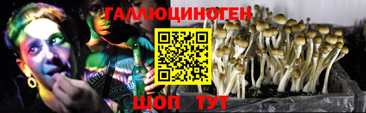 Галлюциногенные грибы Magic Shrooms Великие Луки